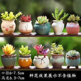 多肉花盆地面粗陶绿植物陶瓷简约个性创意桌面小盆栽花卉素烧盆D&