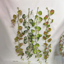 ����A�~�ٗl����������ֲ��Gɫ�~����@�p�@�����쾰