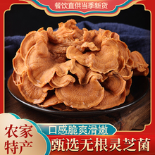 �`֥����؛500�˰��]�^���ܶ����S���ȶ���ţ�Ǿ��`֥���r���خa