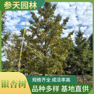 �׹��� �׹������l 15~25���ֿ��x �׹�����ľ���ع���ֱ�N