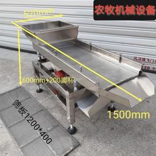 小型不锈钢振动筛电动直线筛选机筛粉塑料颗粒震动筛碎米筛分机