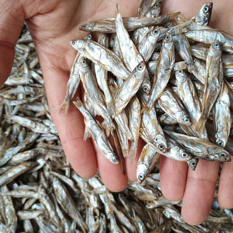 猫のおやつ、小魚、淡水無塩干物、猫のおやつ、卸売、肥育、頬の成長、カルシウム補給、ペットのおやつ、キャットフード|undefined