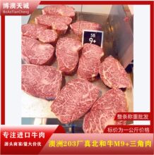 澳洲203厂纯血和牛M9+三角肉雪花牛排西餐烤肉食材冷冻牛肉批发