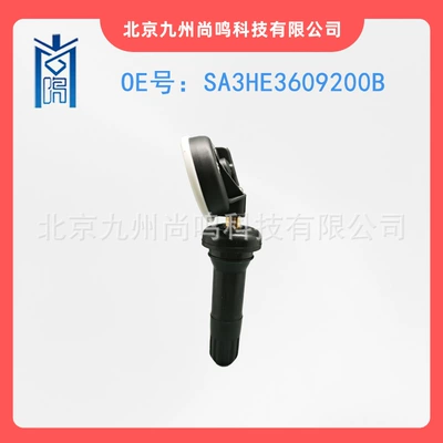 BYD E6E9 Frigate – Tire pressure monitoring system