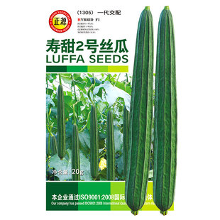 ����2̖�ش���z�ϷN���ӳ��L����N�Ӵ����߮a�Ϸ��ļ��ݴ�ȫ