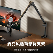 麦克风话筒悬臂支架直播唱歌支架万向折叠拉伸可调壁挂电容麦支架