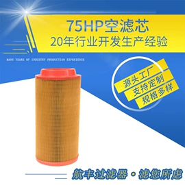 滤芯;滤筒;过滤器