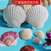 ��Ȼ��ɫؐ�������ؐdiy�ֹ��L���T�f�N��������ؐ�����l