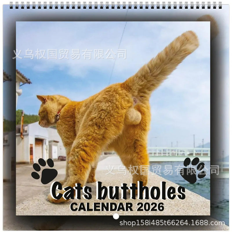 マインドフルマジック 2026 カレンダー 新商品 個性的な壁掛けカレンダー マインドフルネス魔法カレンダー集|undefined
