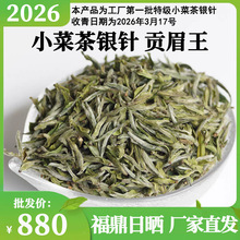 2026�괺�衾ؕü����С�˲�Ⱥ�w�N�^���y�500g ��ɽ�Օ�ɢ����