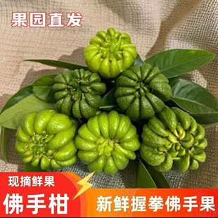 ȭ�^��������Ϸ��ָ��^�p�r����޹�幩�[����Ȼ�Y�����ֱ�l