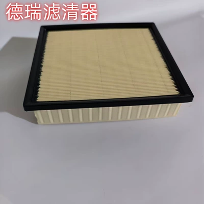 2.5 Senna 3.5 Air – Air filter