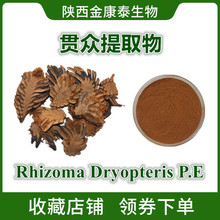 ؞ȡ10:1؞ˮCyrtomium Rhizome Extract r