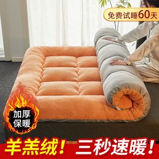 Winter Lamb Wool Mattress Pad Bedding Mattress Soft Cushion Home Mat Student Dormitory Single Mattress Pad Bedding Base Mat