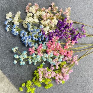 ơ�ƻ� �Q���� ��c����d·���廨�ٻ� ��Y�ñ������b��滨