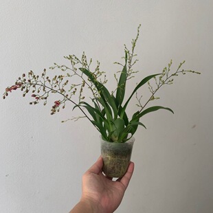 �����m���㎧���໨���l؛�_���M���h�㻨���L�_3�����҃Ȼ���