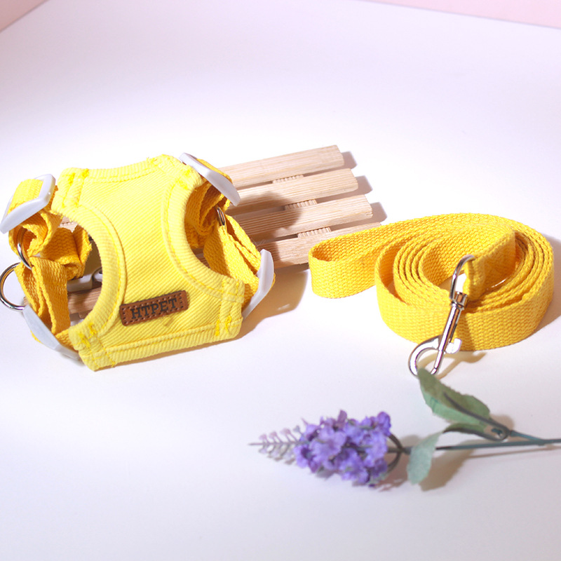 Pet Leash Practicality