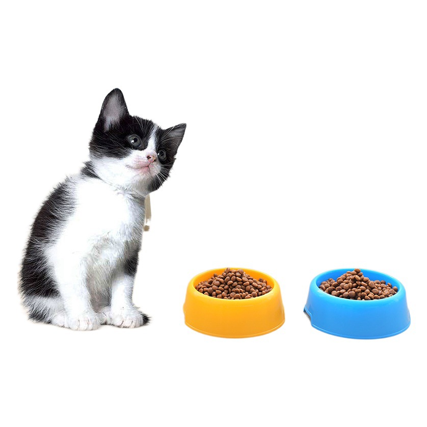 Mascota gato tazón perro tazón beber y comer cuenca perro gato antidetonantes gato tazón de arroz suministros para mascotas