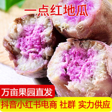 产地直发一点红紫薯新鲜农家自种番薯冰激凌紫心地瓜一件代发