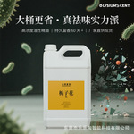 油溶性无火香薰精油补充液室内厕所酒店卫生间香氛同款蓝风铃香型