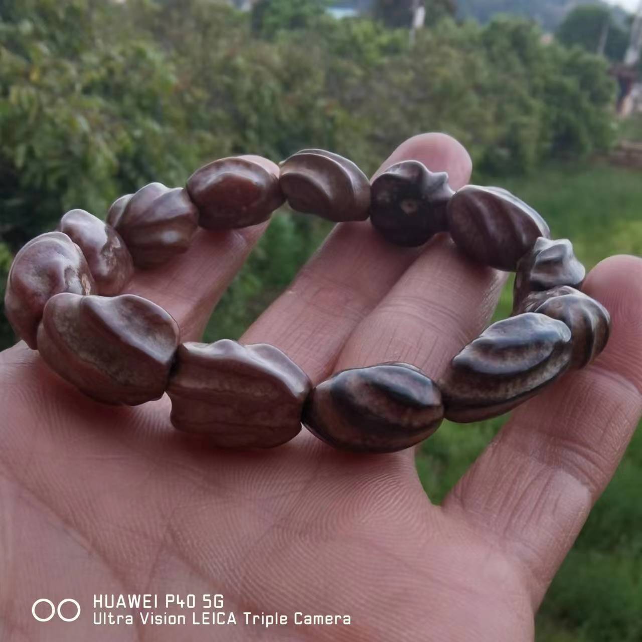 微信图片_20230408121502