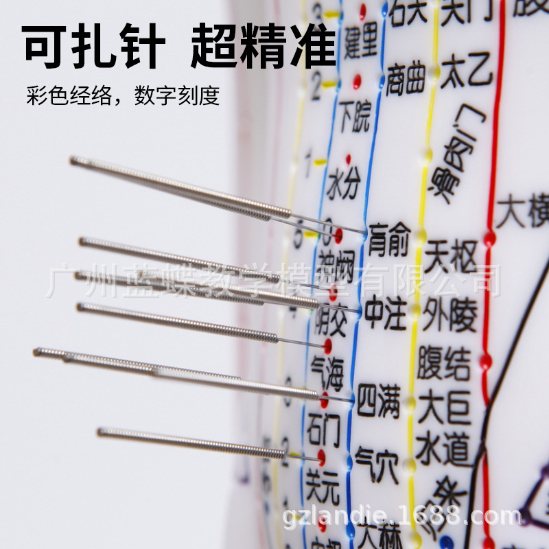 �������ģ���˾���Ѩλ��ҽȫ��ʮ��ͭ��ģ��ͼ��������ϰСƤ��