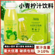 小青柠300ml整箱解腻柠檬夏日解渴解暑酸甜饮品厂家批发动脉果乐