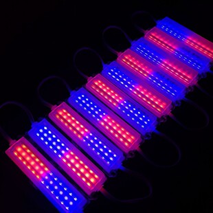 DC12V 2835 ultrasonic three bar LED module 12 lights/9525 red and blue double flash