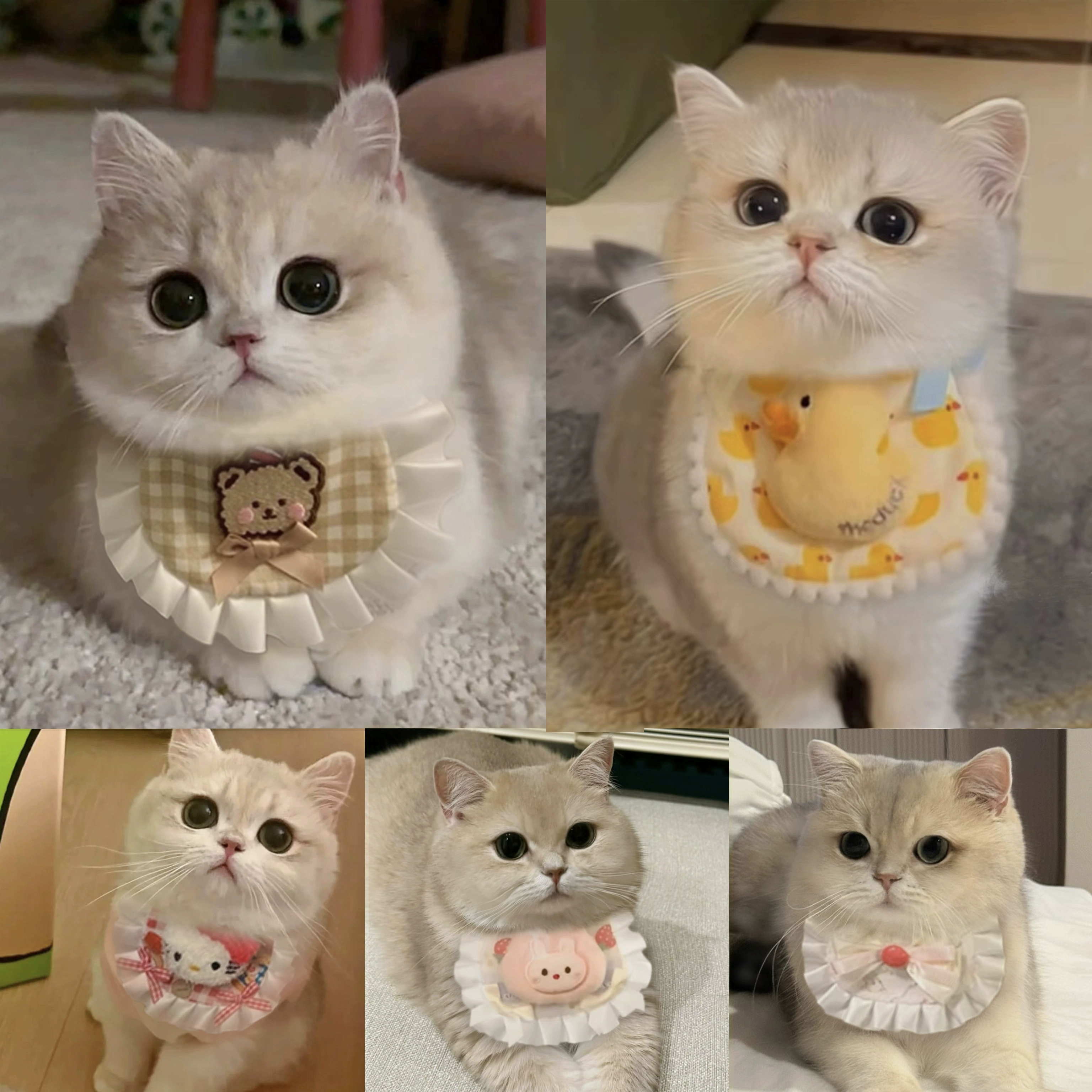 Милые нагрудники для кошек и собак, полотенца для слюны из кружевной ткани для домашних животных, аксессуары для фотографий ручной вязки, декоративные ошейники для шейных платков.