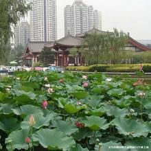 l^pɻNź ɏźNԷN ^pɻɏźɏ