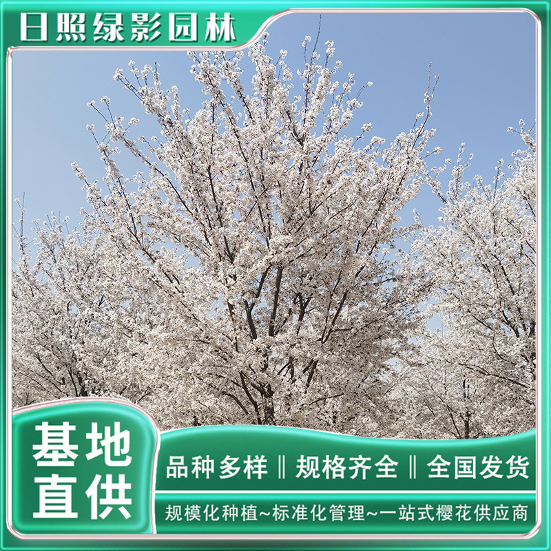 微信图片_20230818145257 副本.jpg