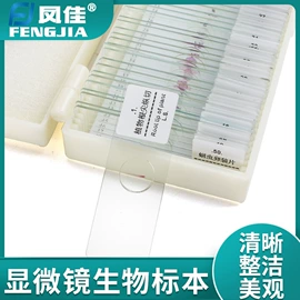 目镜、物镜;显微镜;光学机具