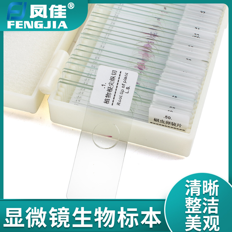 凤佳显微镜标本切片套装动植物细胞观察标本中小学生儿童实验配件