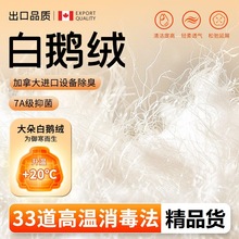 散装羽绒特大朵吊吊绒90白鸭绒95白鹅绒毛填充物原料羽绒被自充绒