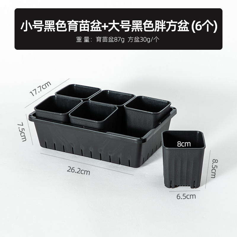 Bandeja de Plástico para Macetas, Cuadrada Negra, para Suculentas y Plántulas