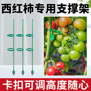 ���t������֧�ΗU�@ˇ��������֧�ΗU�ŵ���֧�ܷ����̶�֧��
