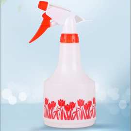 市下小型手压式喷壶园艺花卉浇花喷壶家用清洁喷雾器