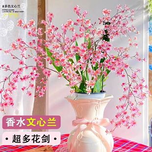 �����m�����m���������_����ζ�Gֲ��������ֲ���k���Һ��B