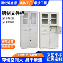 文件柜办公资料柜实验室全钢药品柜化学品试剂柜财务凭证资料柜