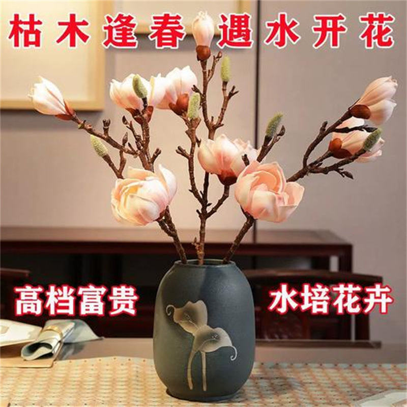 玉兰花水培水养绿植花卉遇水开花树苗盆栽带花苞干枝耐寒鲜切白紫