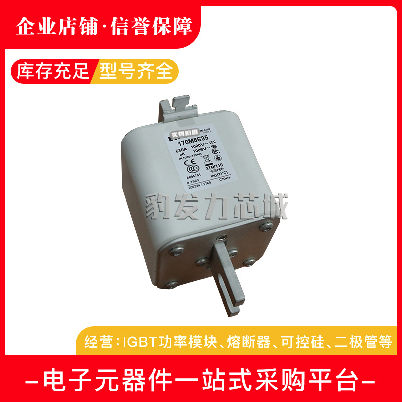170M8638 170M8639 170M8640 170M8641 170M8642全新熔断器现货