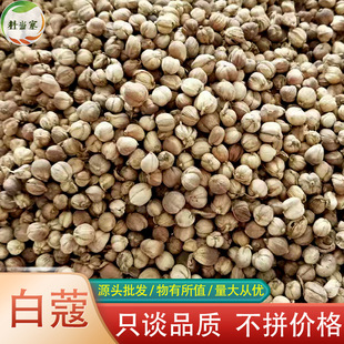 ��ޢ�׶�ޢ500g�A��ޢ�׶�ޢ�׿������{ζ�����uζ�����l��ޢ��ޢ