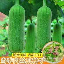 �̰�����z�ϷN�Ӵ����＾�͟�߮a�ļ��˹ϷN��ͥԺ�����߲˷N��