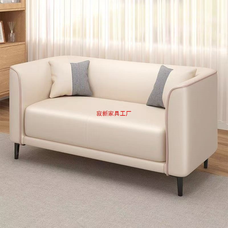 Nordic Small Apartment Sofa Trendy Model for Two or Three People, Suitable for Living Room, Clothing Store, Rental Apartment, Tech Fabric Small Sofa