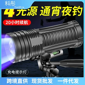 手电筒;手电筒;太阳能灯