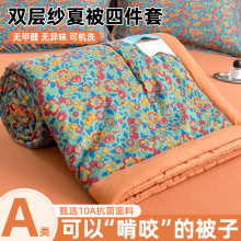 A类夏天双层纱大豆纤维夏被夏凉被四件套夏季薄被子空调被礼品被