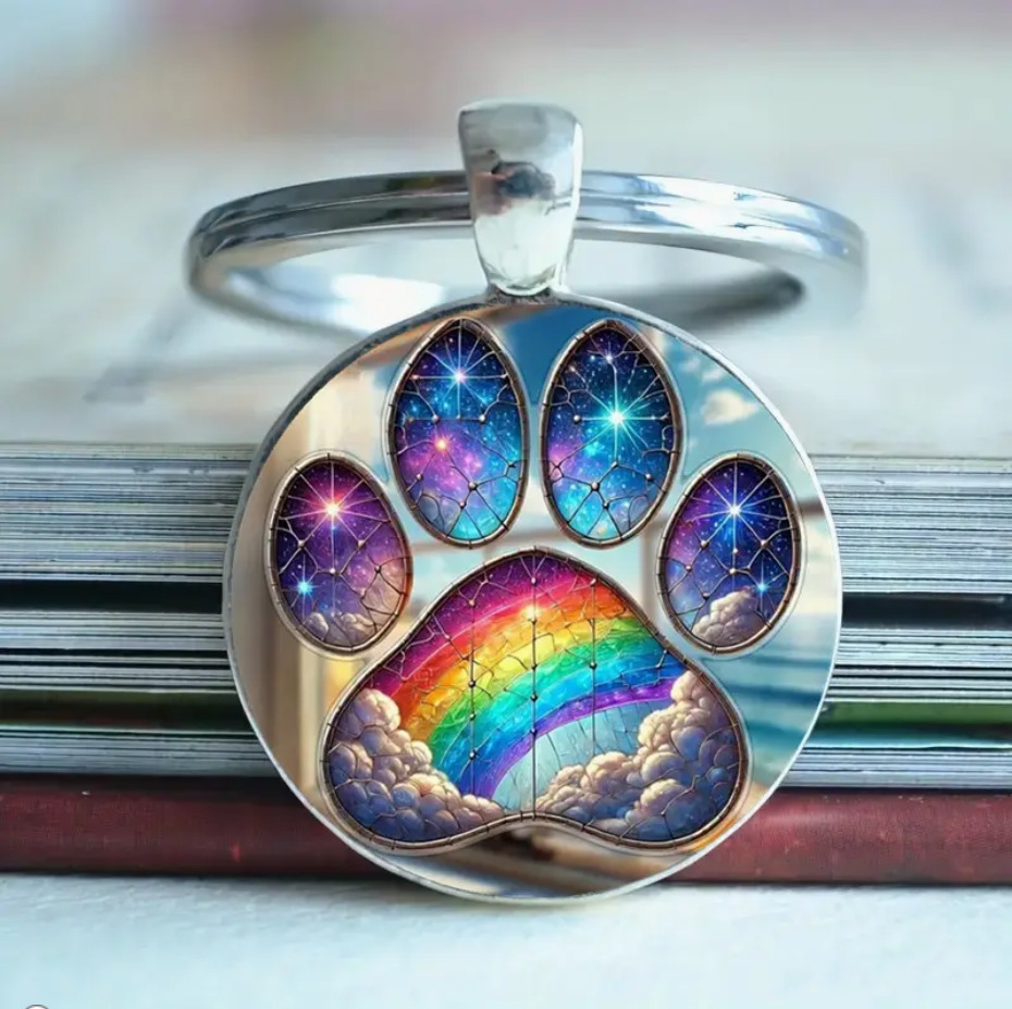 微信图片_20250408211219