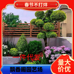 ����Ůؑ�����ǻ��Rֲ���OӋ���@�e���쾰�ļ��L�� ����Ϟ���ͺ�