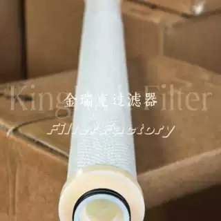 PG-436-N41-10FB 天然气过滤器滤芯 聚结分离滤芯