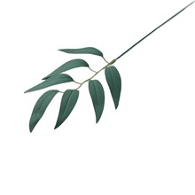 ���С֦���~���~ɳ���~ֲ��bGֲ�羳DIY�Y�л����滨���l